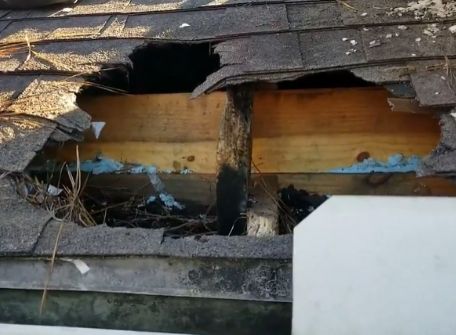 animal damage on roof, very damaged and torn up in The Woodlands, Texas