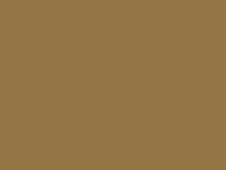 buckskin brown seamless gutter color