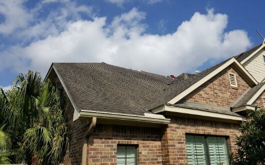 excessive granule loss on roof (1)