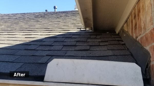 fixed the animal damage and repaired the roof in The Woodlands Texas