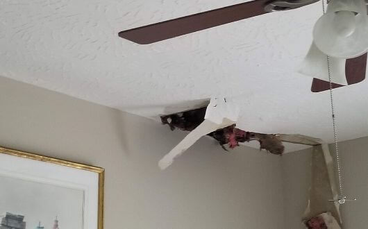 roof leak that damaged ceiling and sheetrock