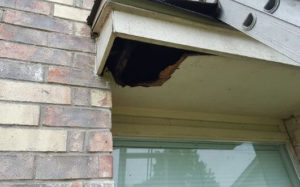 rotted wood fascia opening in Tomball Texas