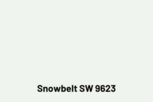 snowbelt from Sherwin Williams 9623