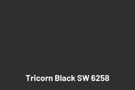 tricorn black from Sherwin Williams