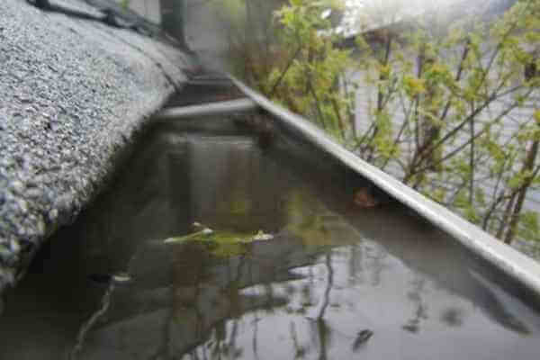 static water in gutters