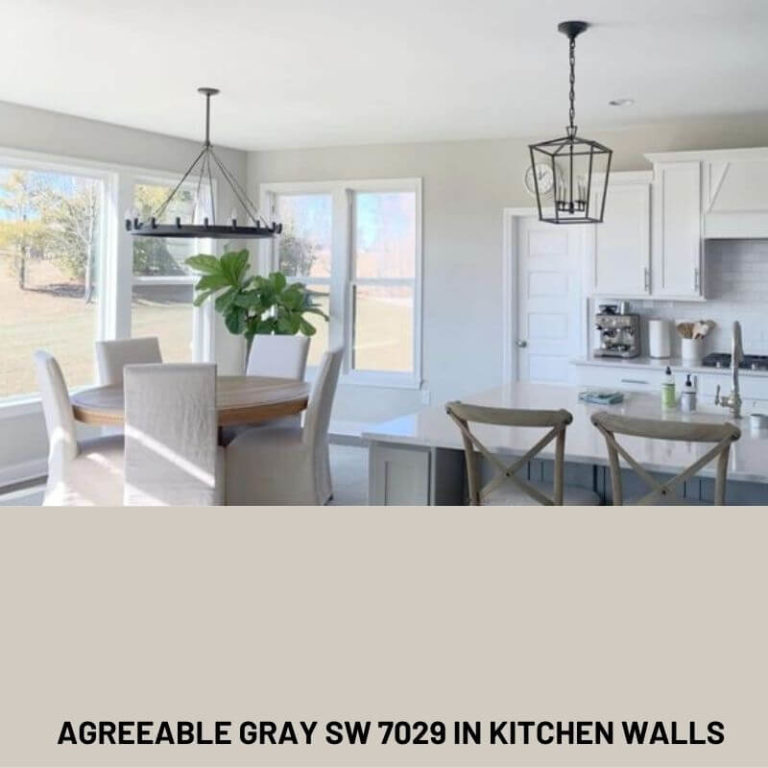 Agreeable Gray From Sherwin Williams SW 7029 | Mr. Happy House