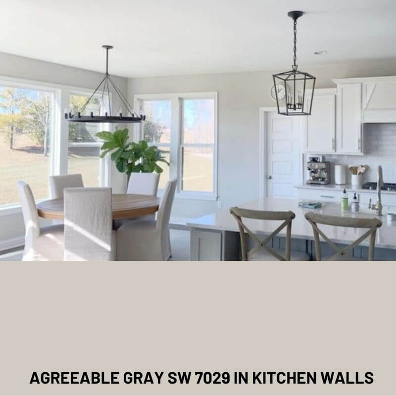 AGREEABLE GRAY FROM SHERWIN WILLIAMS IN KITCHEN