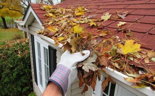 cleaning leaves off gutters