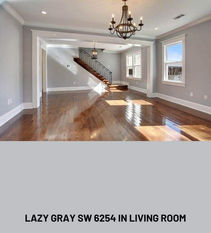LAZY GRAY FROM SHERWIN WILLIAMS IN LIVING ROOM