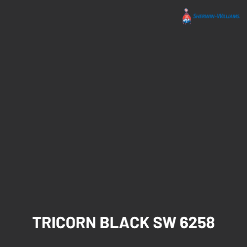 _Tricorn Black Sherwin Williams SW 6258 paint color