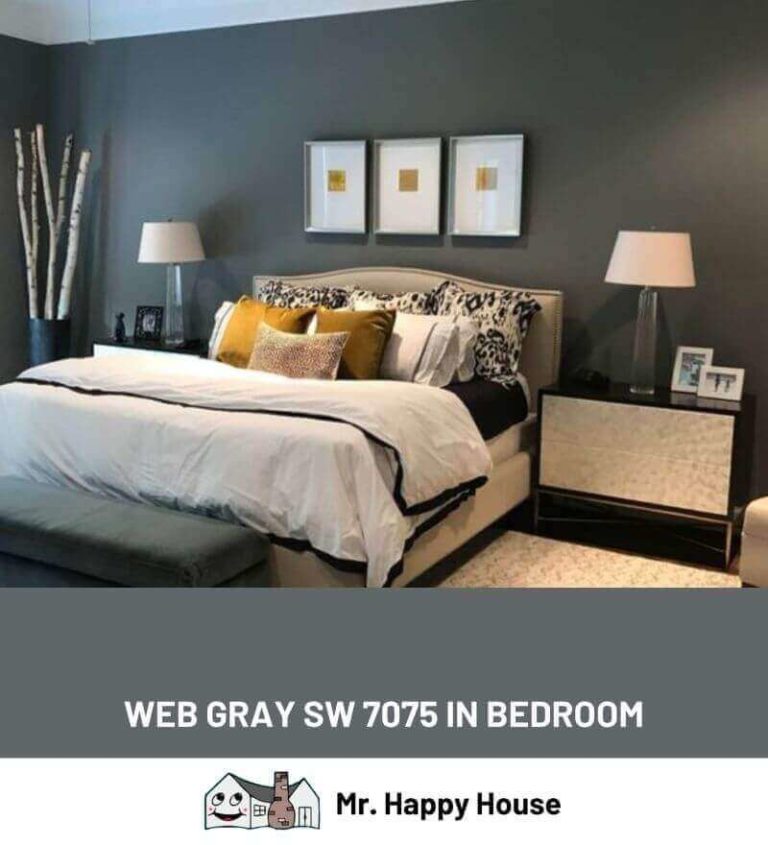  Gray from Sherwin Williams SW 7075 Mr. Happy House