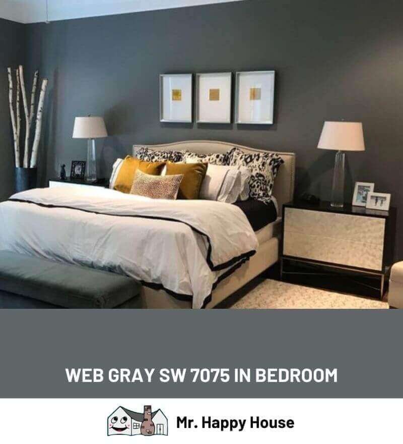 WEB GRAY FROM SHERWIN WILLIAMS IN BEDROOM