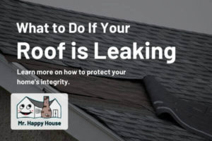 what to do if your roof is leaking (1)