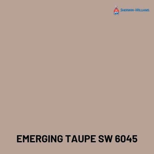 Emerging Taupe SW 6045